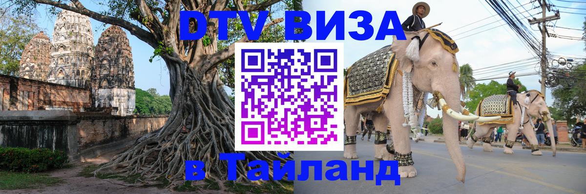Оформление DTV визы под ключ: стоимость и тарифы, только загранпаспорт - 18.11.2025 